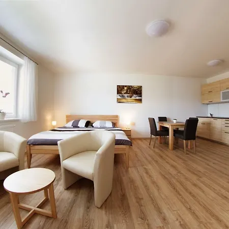 Lipno 510 Apartman *